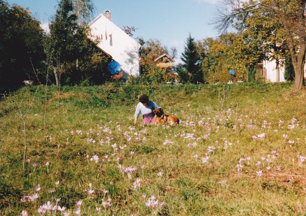 Appartamento Molnárporta Szentgyorgyvolgy Esterno foto