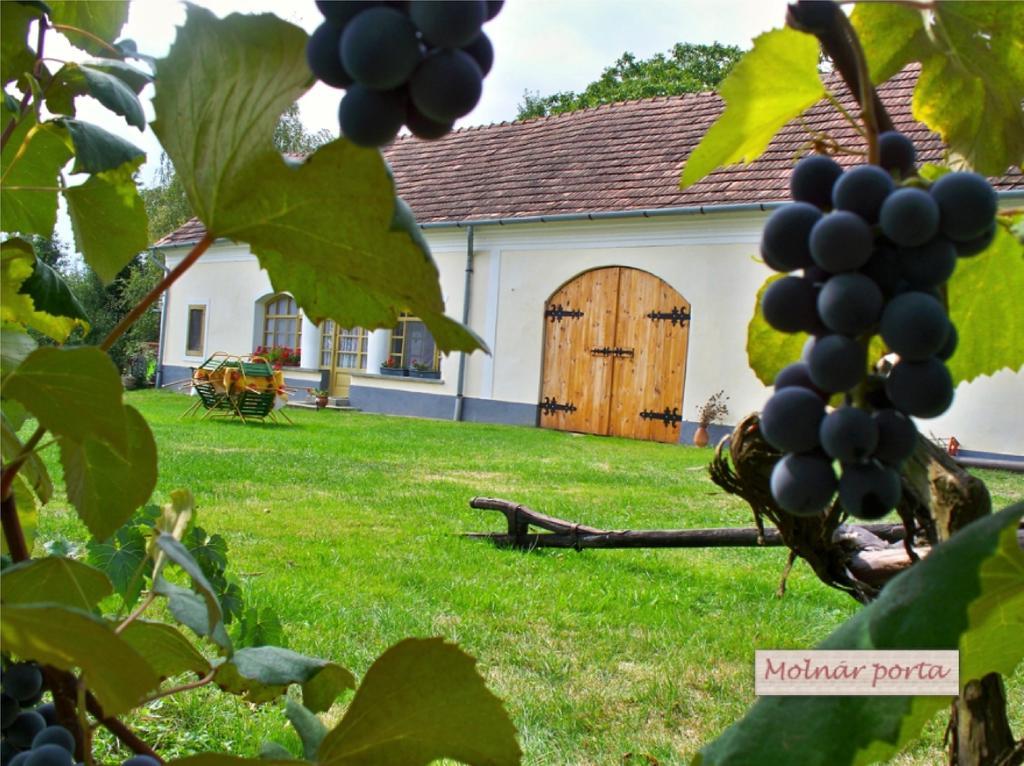 Appartamento Molnárporta Szentgyorgyvolgy Esterno foto