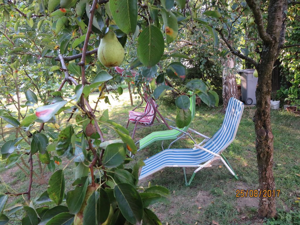 Appartamento Molnárporta Szentgyorgyvolgy Esterno foto